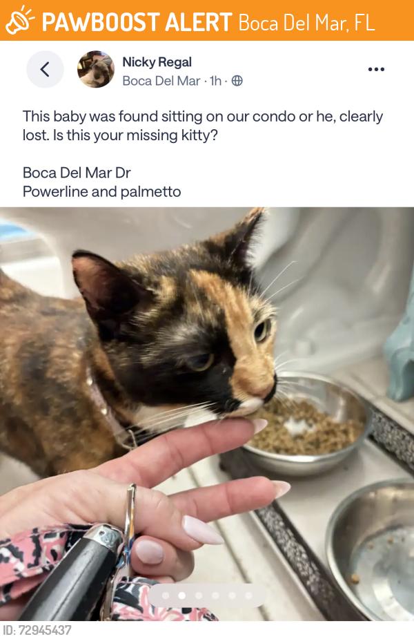 Found/Stray Unknown Cat last seen Boca delmar drive, Boca Del Mar, FL 33433