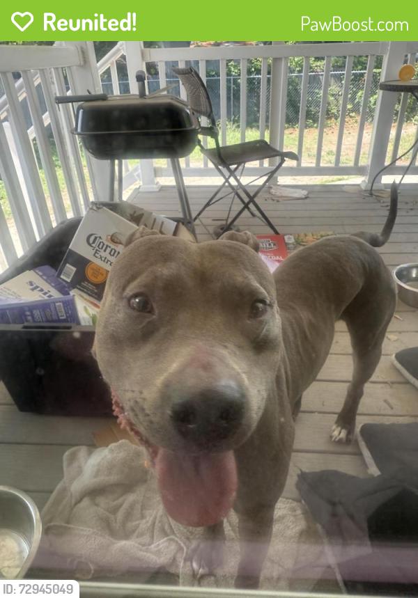 Reunited Male Dog last seen Lark Cir , Newport News, VA 23601