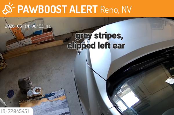 Found/Stray Unknown Cat last seen Lancaster Dr , Reno, NV 89506