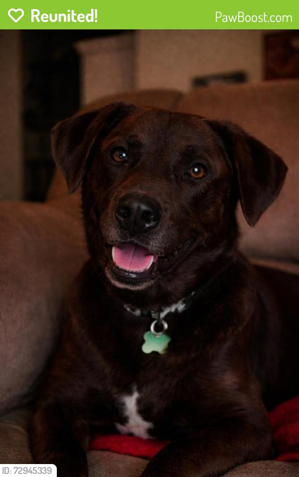 Reunited Male Dog last seen Near Gordon Evans Rd, Navarre, FL 32566, USA, Navarre, FL 32566