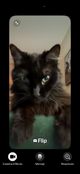 Reunited Male Cat last seen Kobe’s , Fargo, ND 58103