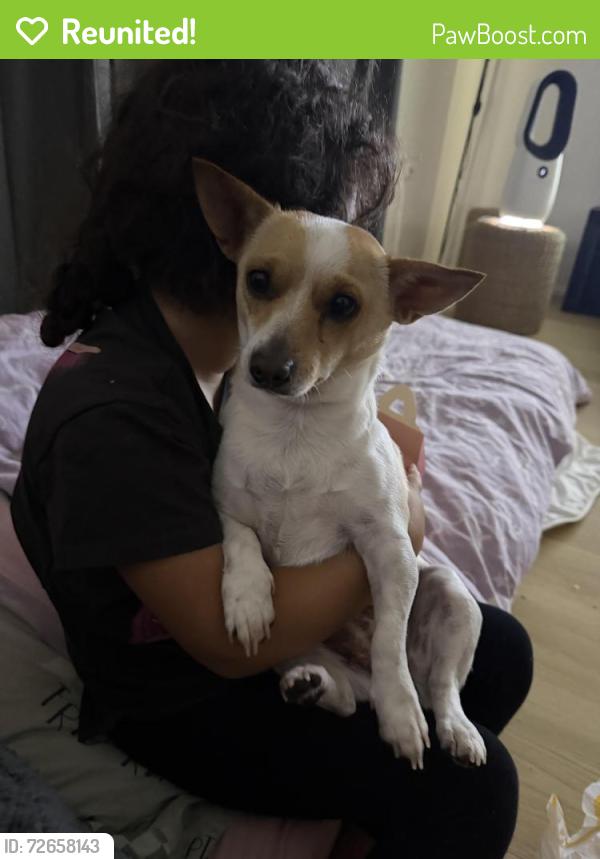 Reunited Female Dog last seen Rowe Avenue , Northfield, SA 5085