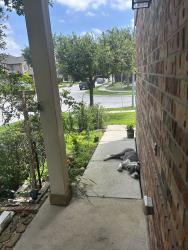 Found/Stray Male Dog last seen Klein Forest High School, Houston, TX 77066