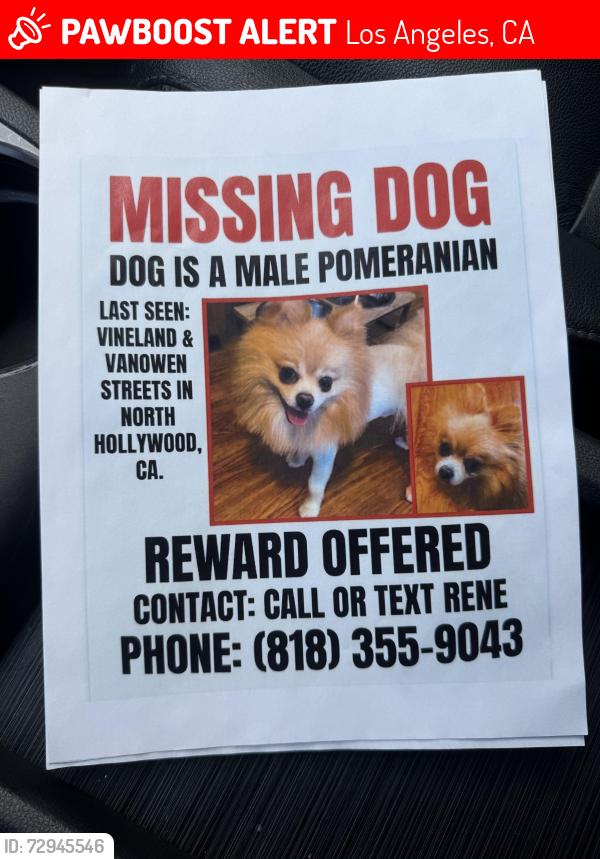Lost Male Dog last seen Vineland and vanowen , Los Angeles, CA 91505
