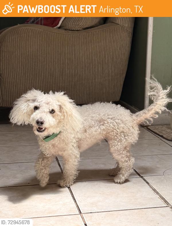 Found/Stray Unknown Dog last seen greenway street , Arlington, TX 76010