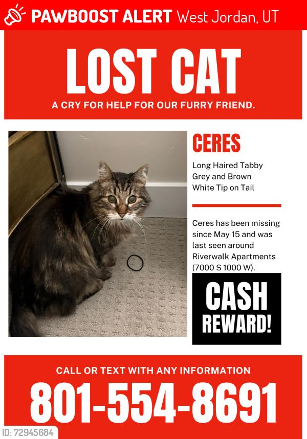 Lost Unknown Cat last seen Near South 1000 West. , West Jordan, UT 84084
