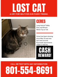 Lost Unknown Cat last seen Near South 1000 West. , West Jordan, UT 84084