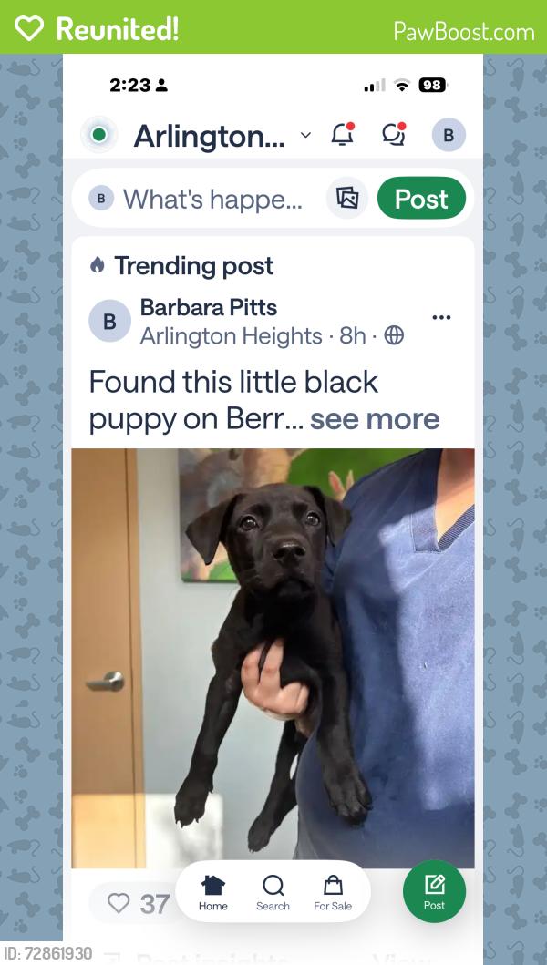 Reunited Male Dog last seen West Berry and 6 th Ave  around dental place  hair salon in little strip   Shopping area, Fort Worth, TX 76110
