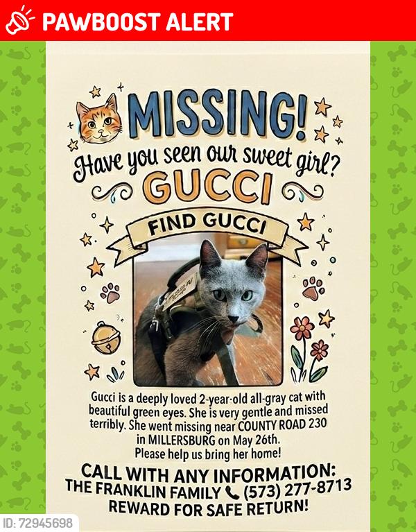 Lost Female Cat last seen Close to Hwy J, right off of I-70. , Bourbon Township, MO 65251