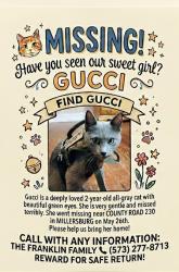 Lost Female Cat last seen Close to Hwy J, right off of I-70. , Bourbon Township, MO 65251