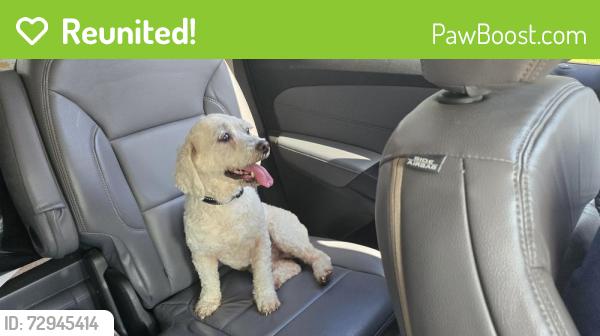 Reunited Male Dog last seen Vinces Bridge @ pecan point, Sugar Land, TX 77478