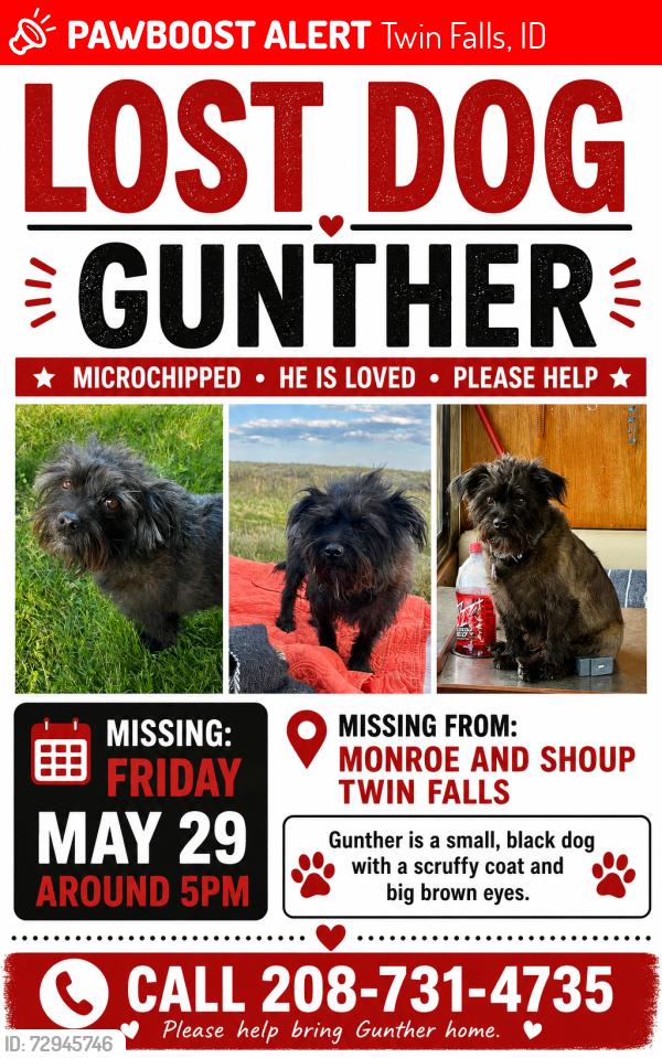 Lost Male Dog last seen Monroe and Shoup, Twin Falls, ID 83301