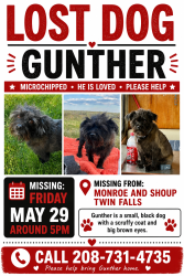 Lost Male Dog last seen Monroe and Shoup, Twin Falls, ID 83301