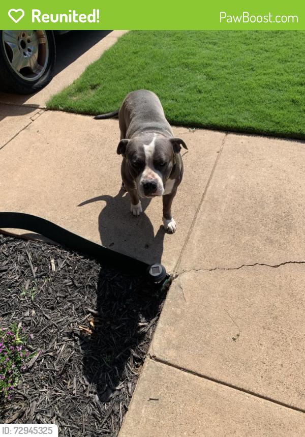 Reunited Male Dog last seen Santa Fe & 12th St, Moore, OK 73160
