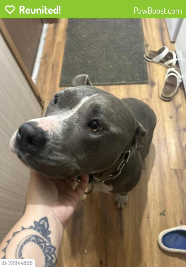Reunited Female Dog last seen The cut, Mannington, WV 26582