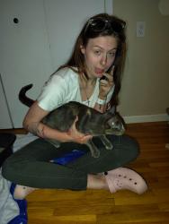 Reunited Female Cat last seen Hwy 169 & Plymouth avenue north , Minneapolis, MN 55427