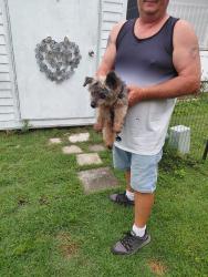 Reunited Male Dog last seen Recreation Plantation , Lady Lake, FL 32159