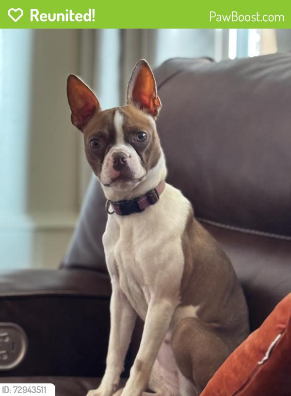 Reunited Female Dog last seen 16th Ave and 16th St , Greeley, CO 80631
