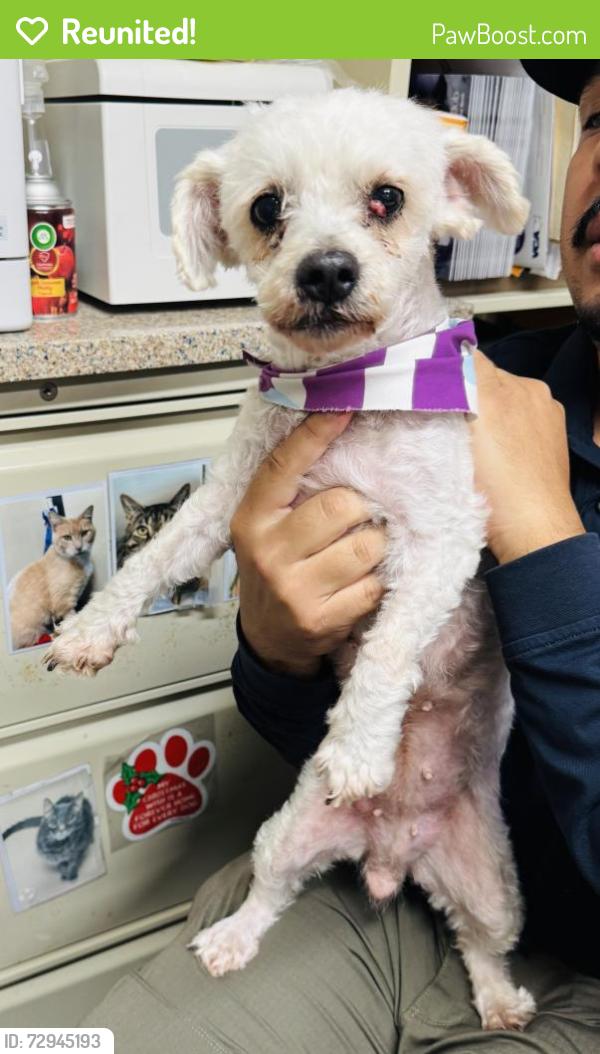 Reunited Female Dog last seen East 5th St Clifton , Clifton, NJ 07011