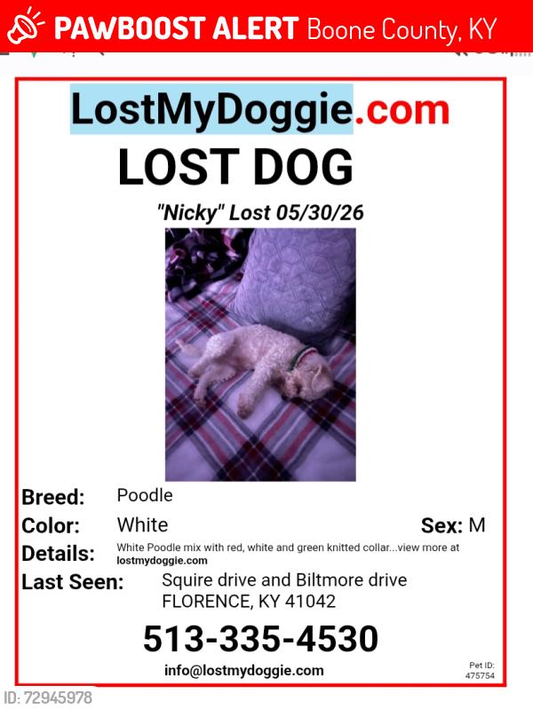 Lost Male Dog last seen Squire dr and Biltmore blvd, Boone County, KY 41042