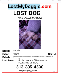 Lost Male Dog last seen Squire dr and Biltmore blvd, Boone County, KY 41042