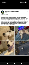 Reunited Female Dog last seen Wellington Drive and Sweetbrier , Clarksville, TN 37043