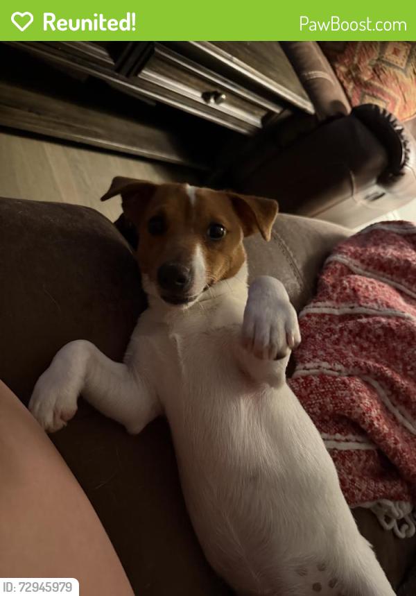 Reunited Male Dog last seen Near Lone Oak Rd, Hogansville, GA 30230, USA, Hogansville, GA 30230