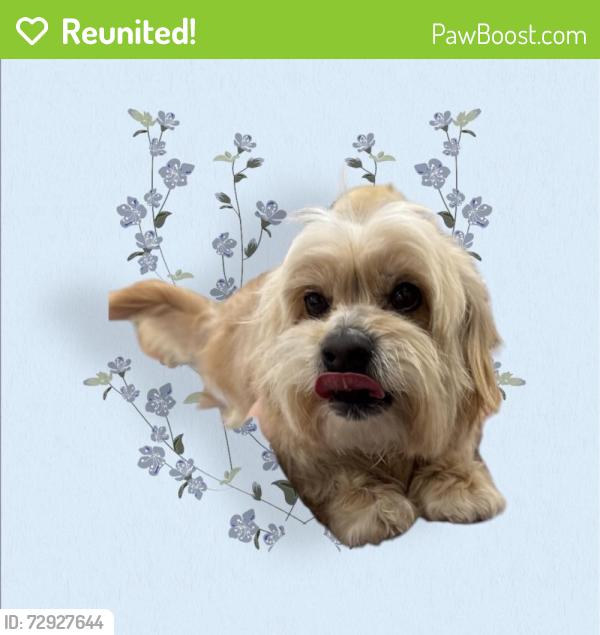 Reunited Male Dog last seen Laspina, Tulare, CA 93274