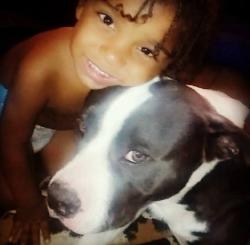 Lost Male Dog last seen Near Woodland Hills Dr, Kingwood, TX 77339, Houston, TX 77339