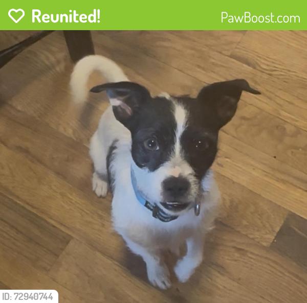 Reunited Male Dog last seen Nuway circle 321, Lenoir, NC 28645