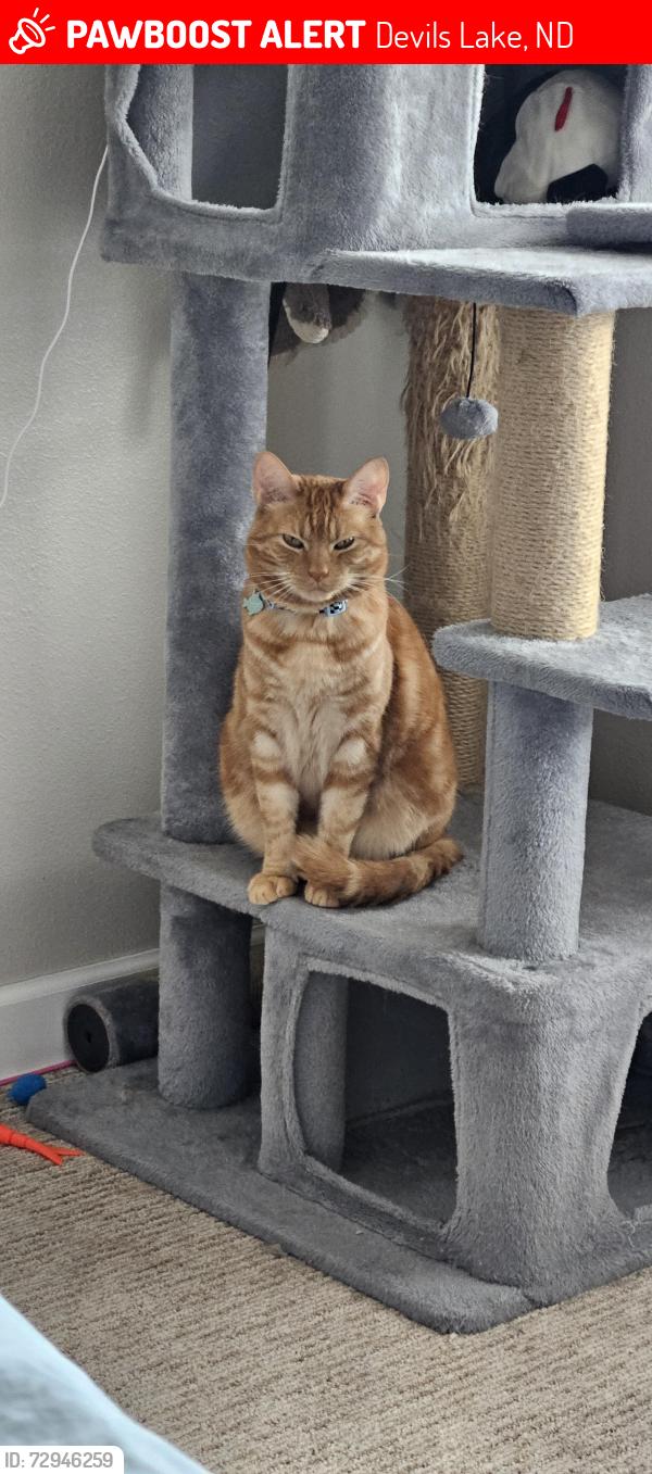 Lost Male Cat last seen Grahams Island State Park campgrounds , Devils Lake, ND 58301