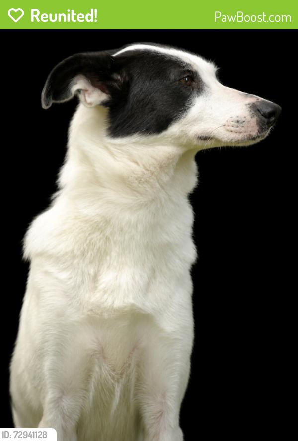 Reunited Female Dog last seen Rector Road, between Cox and Friday, Cocoa, FL 32926