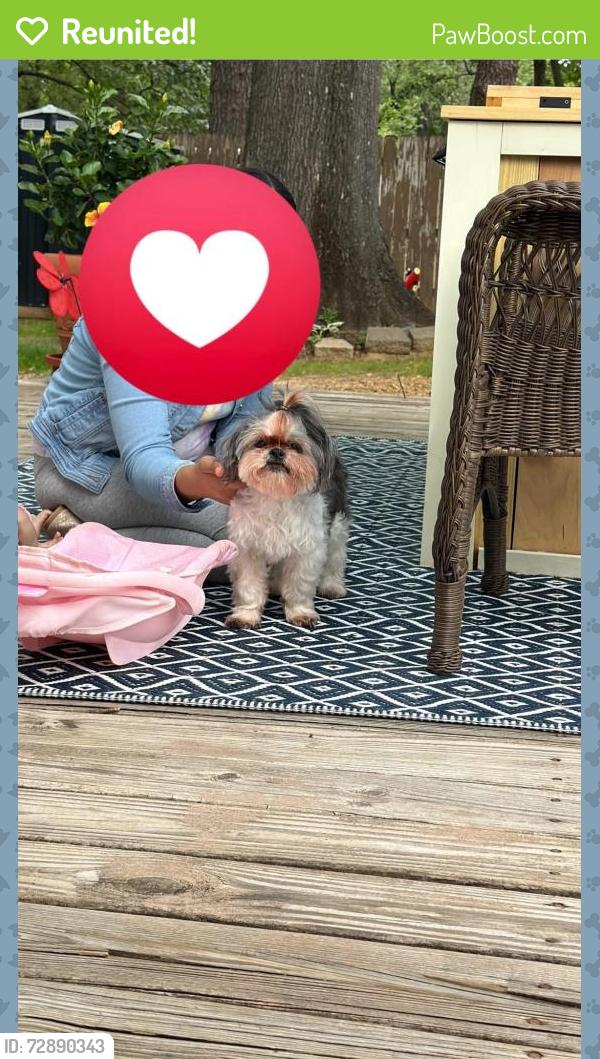 Reunited Female Dog last seen Memphis tn , Memphis, TN 38119
