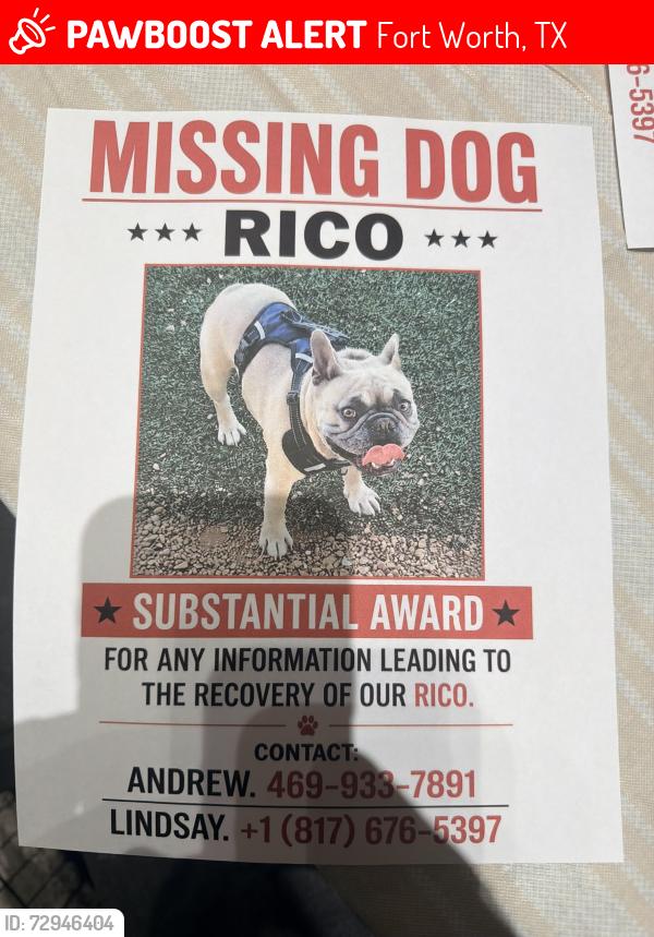 Lost Male Dog last seen North beach and western center, Fort Worth, TX 76137