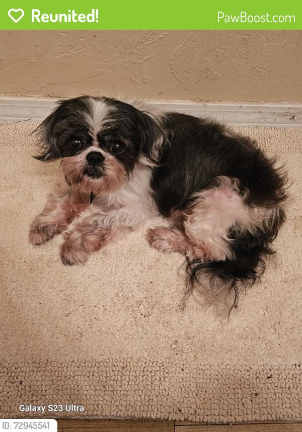 Reunited Female Dog last seen E. Grumman  and Tinker dr. , Midwest City, OK 73110