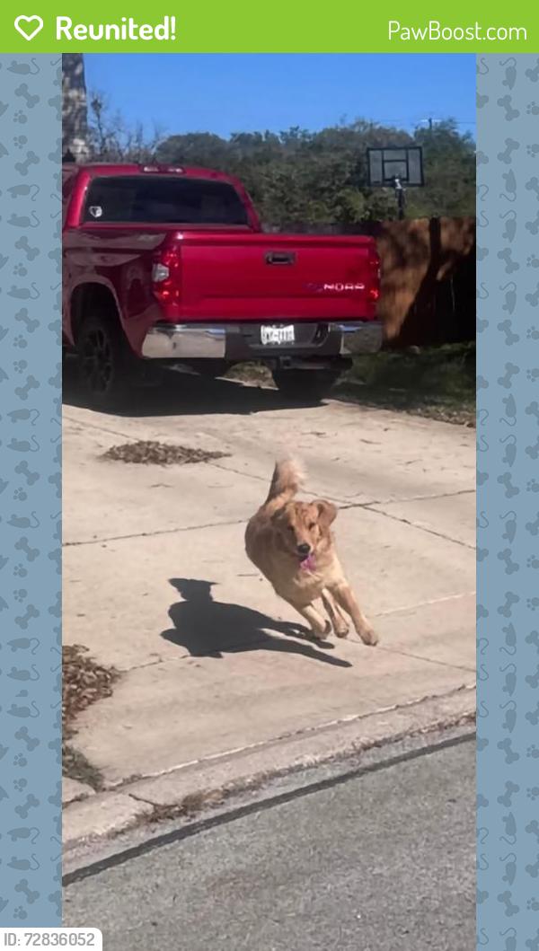 Reunited Male Dog last seen Prue/Kyle Seale Pkwy , San Antonio, TX 78249
