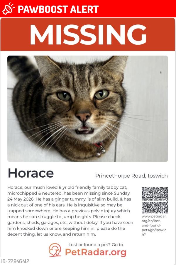 Lost Male Cat last seen Close to Ipswich hospital, Suffolk, England IP3 8NY