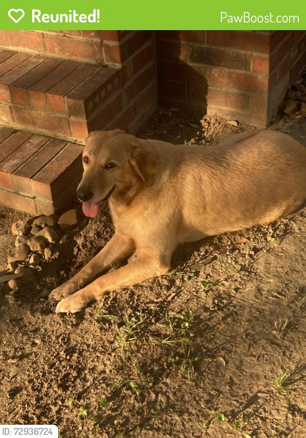 Reunited Male Dog last seen Kyle Reid ct , Conroe, TX 77302