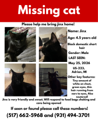Lost Male Cat last seen Hoddinott Rd, MI 49221, Rome Township, MI 49221