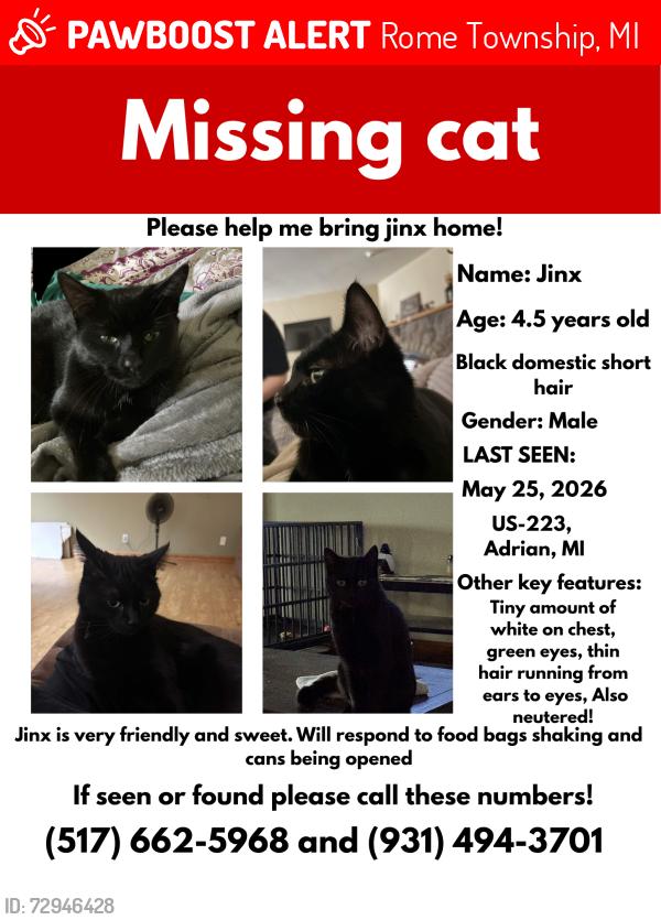 Lost Male Cat last seen Hoddinott Rd, MI 49221, Rome Township, MI 49221