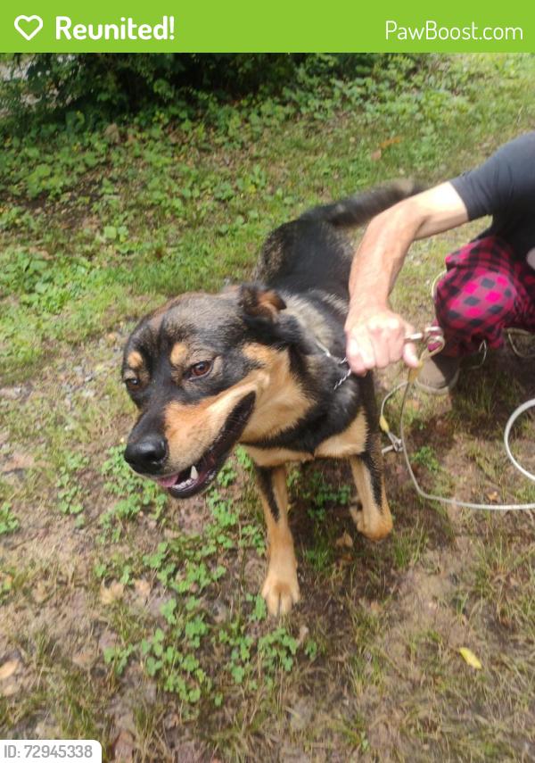 Reunited Unknown Dog last seen West Chapel Road and London Road and Marietta Street, Asheville, NC 28803