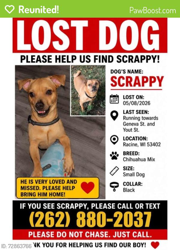 Reunited Male Dog last seen Near Geneva St, Racine, WI 53402