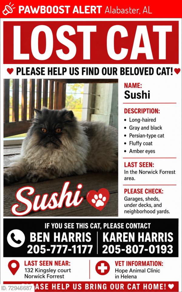 Lost Female Cat last seen Near Kingsley court, Alabaster, AL 35007