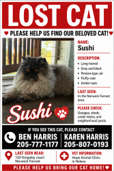 Lost Female Cat last seen Near Kingsley court, Alabaster, AL 35007