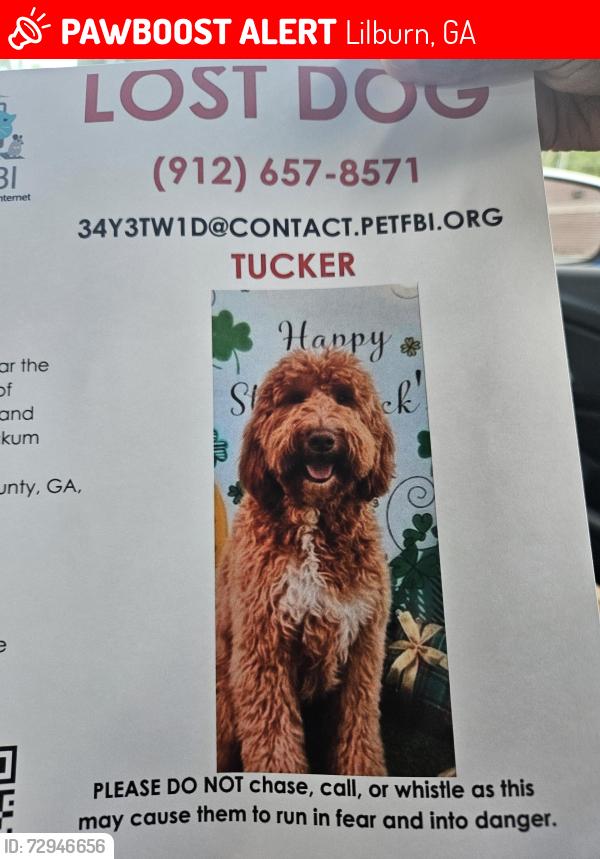 Lost Male Dog last seen ian Hill Animal hosp, Lilburn, GA 30047
