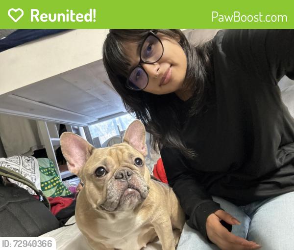 Reunited Female Dog last seen San Ysidro blvd , San Diego, CA 92173