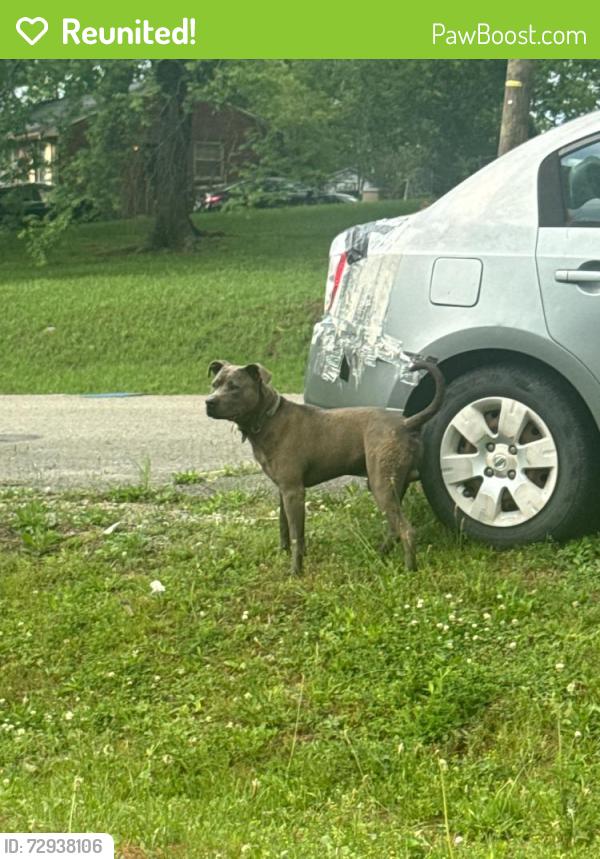 Reunited Male Dog last seen Ewing and Aldrich, Nashville, TN 37207