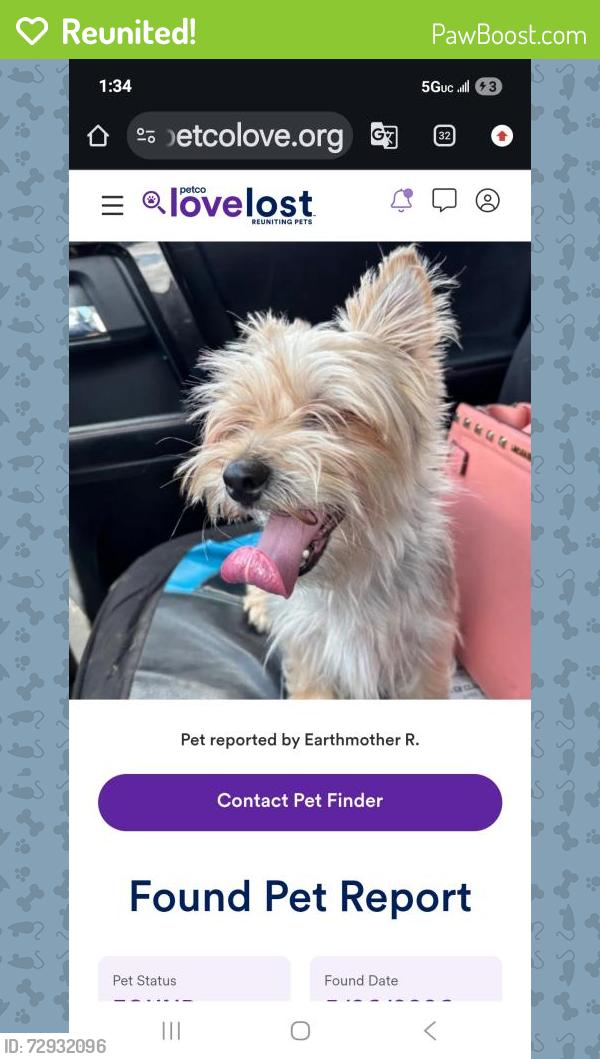 Reunited Female Dog last seen Near North jones Ave , Norman, OK 73069
