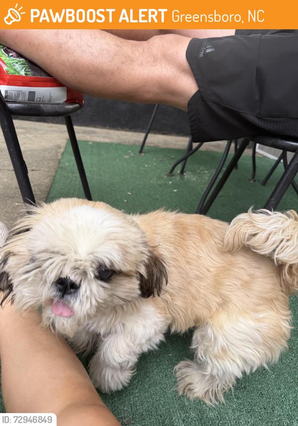 Found/Stray Male Dog last seen Friendly, Greensboro, NC 27410