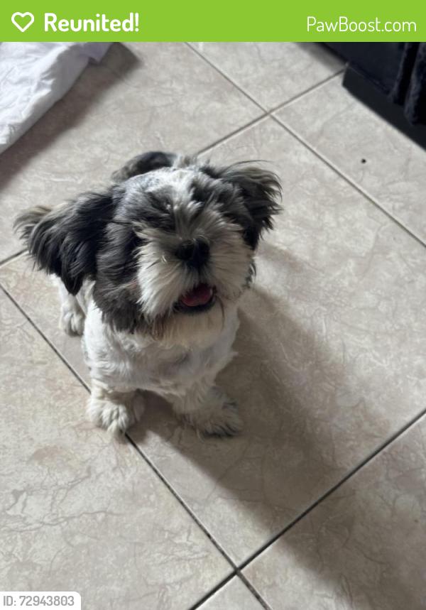 Reunited Male Dog last seen Hondo pass , El Paso, TX 79924